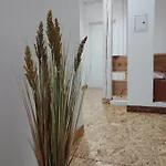 Middlehouse Guest house