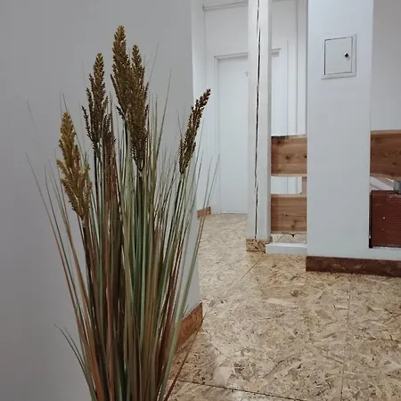 Middlehouse Pensión