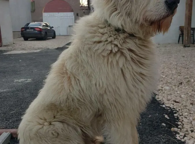 Gæstehus Middlehouse 3*